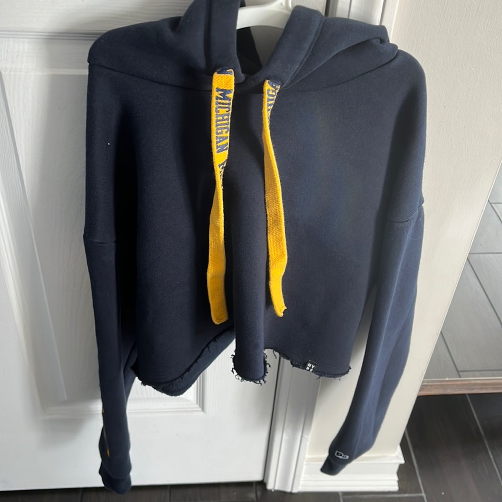 Hype & Vice MICHIGAN Crop Hoodie